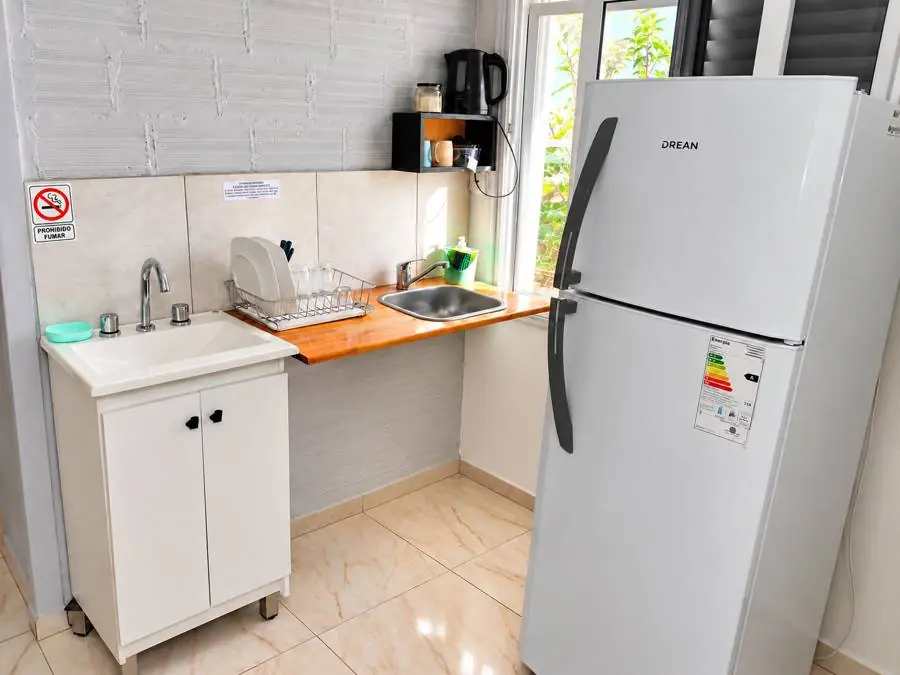 Kitchenette con bacha, heladera y ventana al jardín