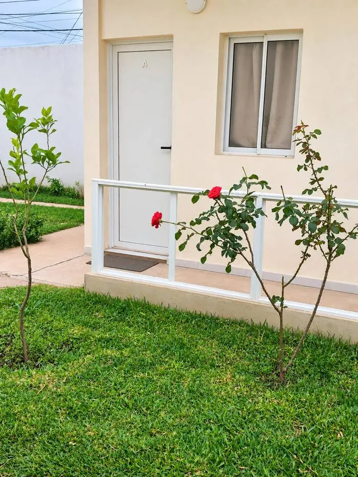 Jardín con rosas frente a la puerta de una habitación