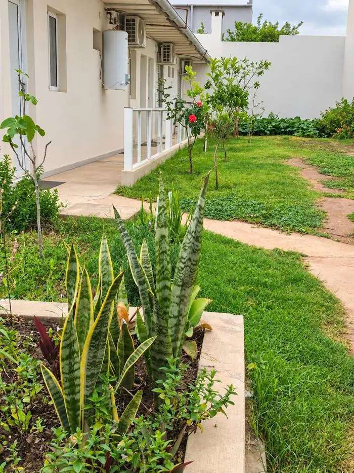 Sendero del jardín con plantas y habitaciones al costado